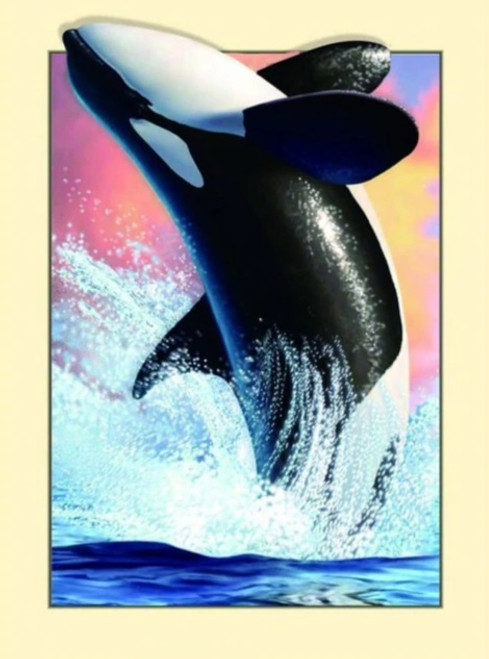 5D Diamond Painting Pop Out Orca Kit