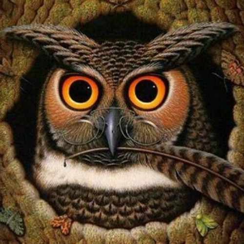 5D Diamond Painting Owl with a Feather Kit