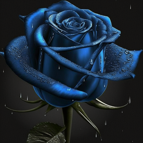 5D Diamond Painting Deep Blue Rose Kit