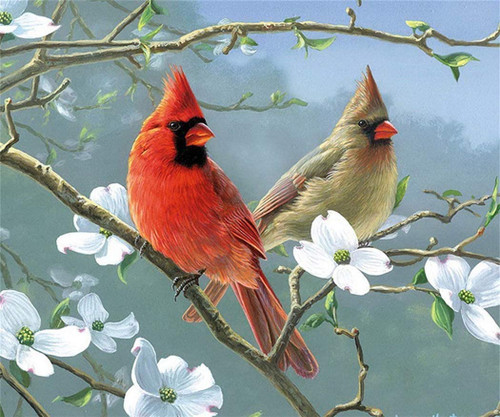 5D Diamond Painting Two Cardinals and White Flowers Kit