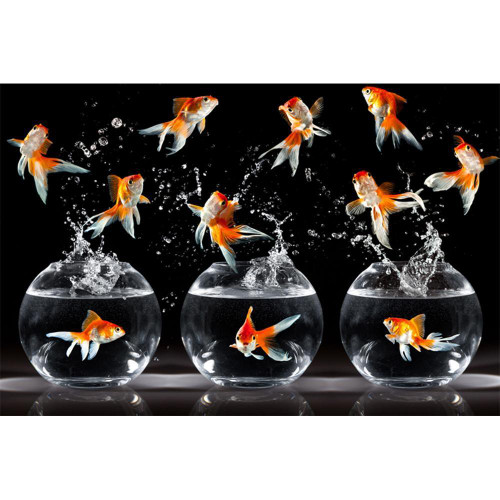 5D Diamond Painting Goldfish Dance Kit