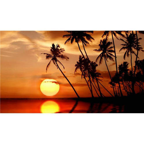 5D Diamond Painting Orange Palm Tree Sunset Kit