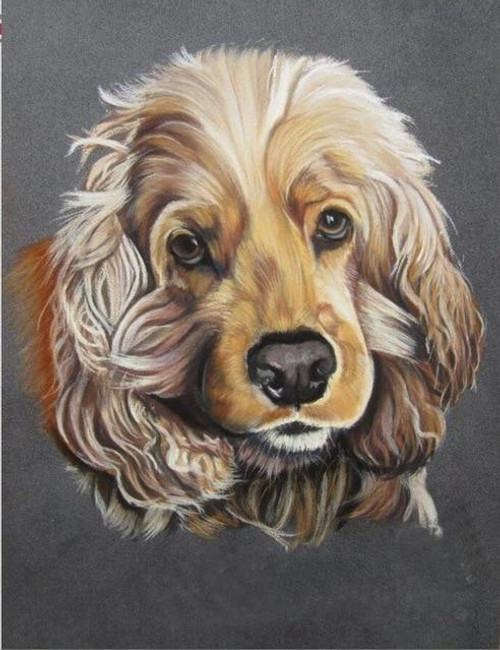 5D Diamond Painting Adult Black Cocker Spaniel Kit - Bonanza Marketplace