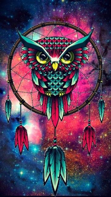 5D Diamond Painting Pink and Green Owl Dream Catcher Kit