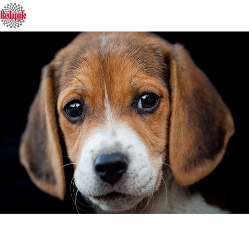 5D Diamond Painting Beagle Kit