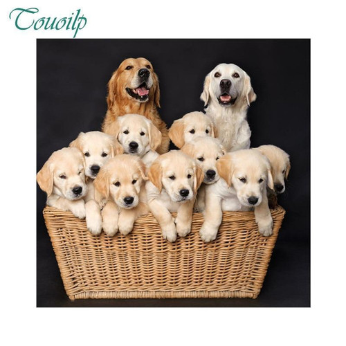 5D Diamond Painting Pups in a Basket Kit