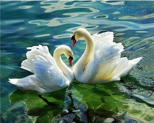 5D Diamond Painting Green Water Swans Kit