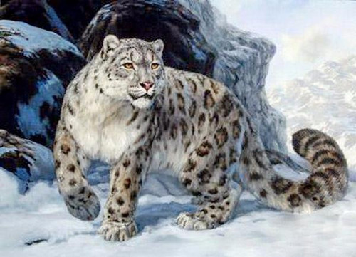 5D Diamond Painting Snow Leopard Kit