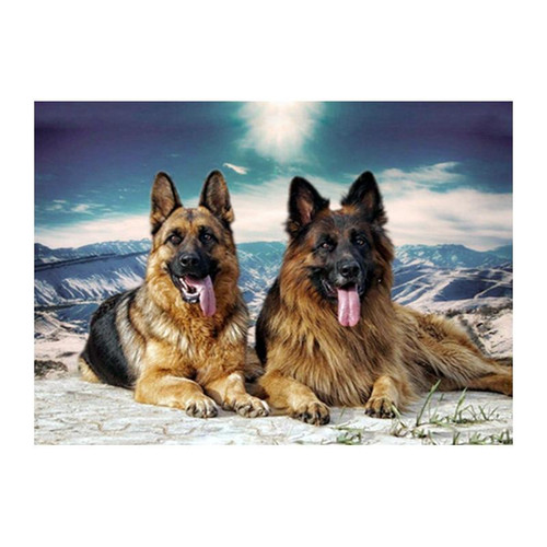 5D Diamond Painting Two German Shepherds in the Mountains Kit