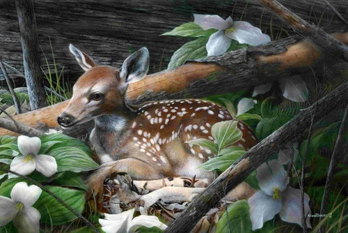 Snowy Baby Deer - Paint with Diamonds Kit