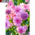 5D Diamond Painting Bright Pink Flowers Kit