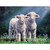 5D Diamond Painting Two Little Lambs Kit