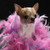 5D Diamond Painting Pink Boa Chihuahua Kit