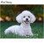 5D Diamond Painting White Poodle in the Grass Kit