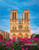 5D Diamond Painting Notre Dame Pink Flowers Kit