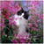 5D Diamond Painting Cat in the Pink Flowers Kit