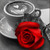 5D Diamond Painting Red Rose Cappuccino Kit