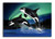 5D Diamond Painting Two Orcas Kit