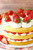 5D Diamond Painting Strawberry Shortcake Kit