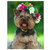 5D Diamond Painting Flower Crown Puppy Kit