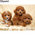 5D Diamond Painting Three Poodle Puppies Kit