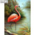 5D Diamond Painting Flamingo in the Water Kit