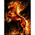 5D Diamond Painting Horse in Flames Kit