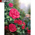 5D Diamond Painting Brick Wall Rose Bushes Kit