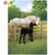 5D Diamond Painting White Horse and Black Foal Kit
