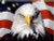 5D Diamond Painting Glaring American Eagle Kit