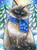 5D Diamond Painting Blue Scarf Cat Kit