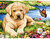 5D Diamond Painting Puppy and Monarch Butterfly Kit