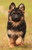 5D Diamond Painting German Shepherd Puppy Kit