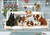 5D Diamond Painting Kittens and Puppies on a Swing Kit