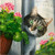 5D Diamond Painting Cat By the Plant Kit