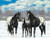 5D Diamond Painting Black and White Horses in the Snow Kit
