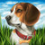 5D Diamond Painting Beagle in the Grass Kit