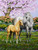 5D Diamond Painting Horses Under a Pink Blossom Tree Kit