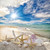 5D Diamond Painting Clouds in the Sky Beach Shells Kit
