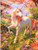 5D Diamond Painting Pink Hair Unicorn and Butterflies Kit