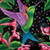 5D Diamond Painting Purple Wing Hummingbird Kit