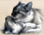 5D Diamond Painting Cat Bath Kit