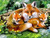 5D Diamond Painting Mother Fox and Her Cubs Kit