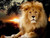 5D Diamond Painting Sunset Lion Kit