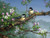 5D Diamond Painting Two Birds on a Branch Kit