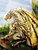 5D Diamond Painting Golden Dragon Stripes Kit