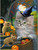 5D Diamond Painting Two Mice and a Witch Cat Kit