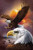 5D Diamond Painting Two Eagles Kit