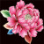 5D Diamond Painting Pink Peony Kit