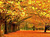 5D Diamond Painting Yellow Leaf Trees Kit